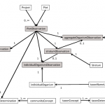 vegX_schema