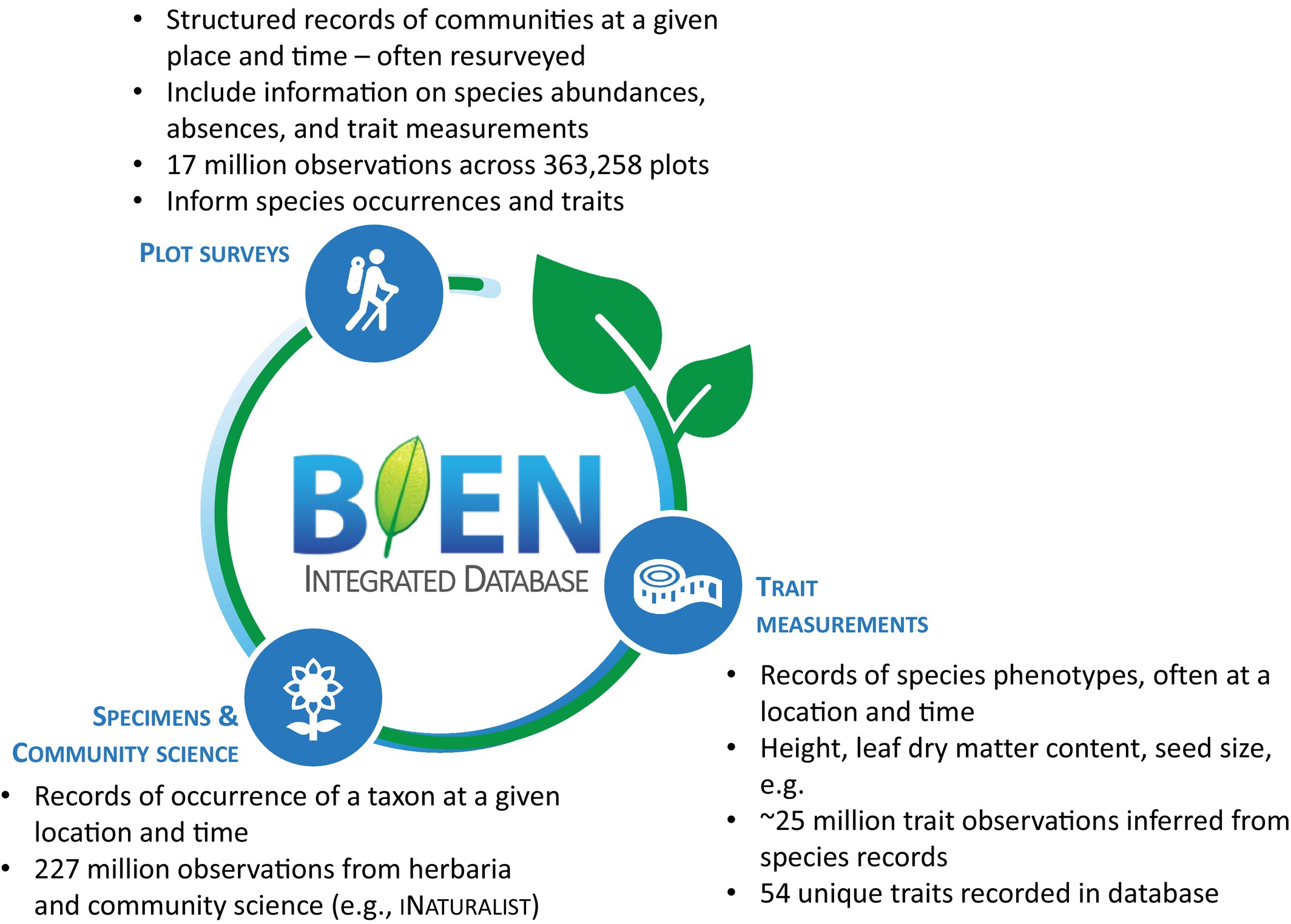 The BIEN modular workflow integrating three primary data sources - specimens, plot surveys, and trait measurements - into a unified, standardized framework.
