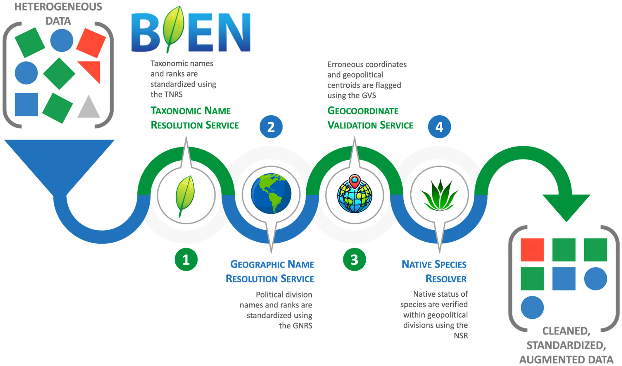 The four BIEN services: TNRS resolves taxonomic inconsistencies, GNRS standardizes geographic metadata, GVS validates coordinates, and NSR determines native and cultivated status.