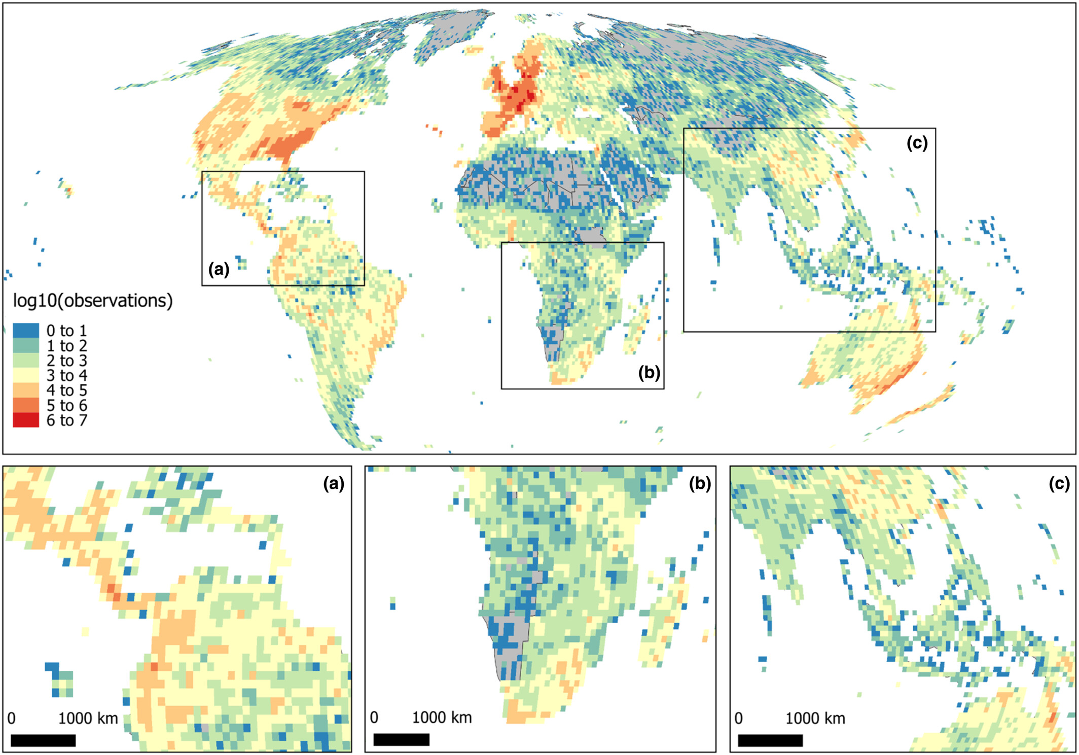 Global maps of BIEN 4.2 sampling intensity - the density of botanical observation records per 100 km cell - integrating herbarium specimens, ecological plot surveys, and trait observations.