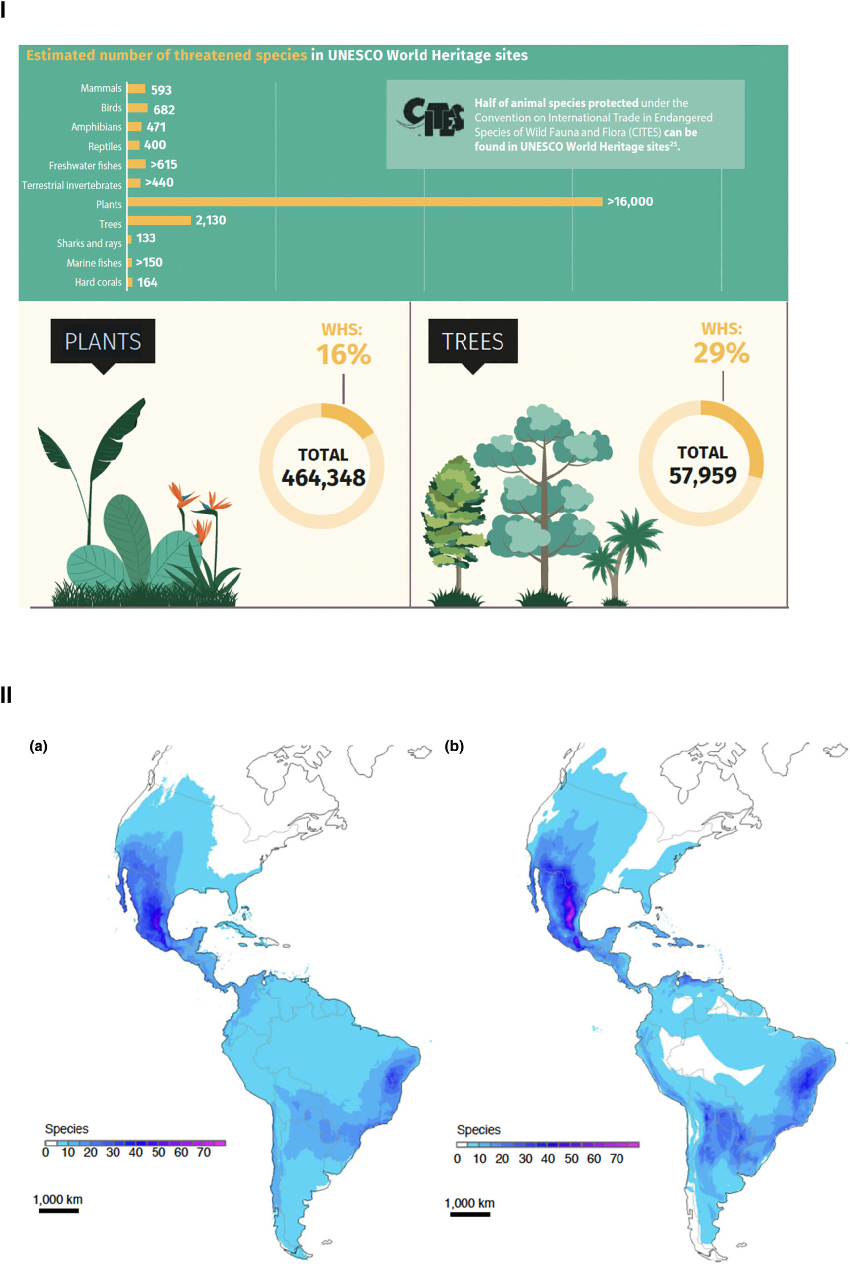 BIEN applications: contribution of UNESCO World Heritage Sites to plant conservation, and a comparison of stacked species distribution models of cactus richness against IUCN expert maps.