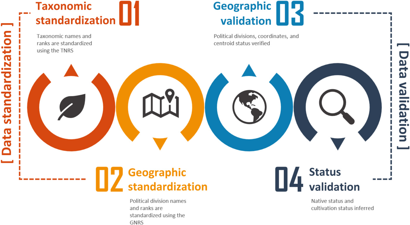 BIEN computational workflow: taxonomic standardization with the TNRS, geographic standardization with the GNRS, geographic validation of coordinates and political divisions, and native-status validation.